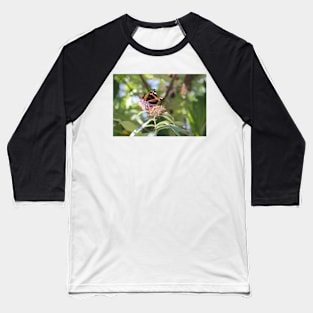 Red Admiral Baseball T-Shirt